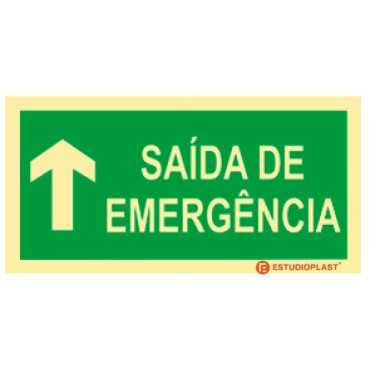 Photoluminescent Signage|Emergency Exit|Safety Signage|Emergency Exit Sign in front