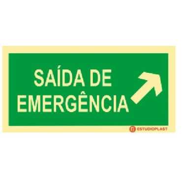 Photoluminescent Signage|Emergency Exit|Safety Signage|Emergency Exit Sign Go Up Right