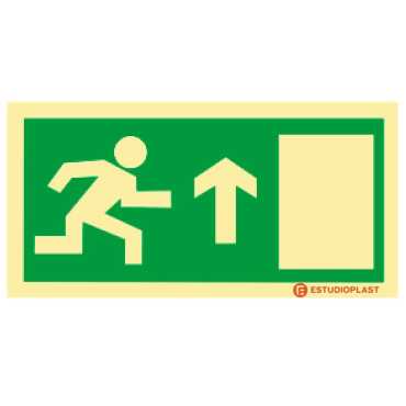 Photoluminescent Signage|Emergency Exit|Safety Signage|Emergency Exit front exit