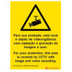 Sinal para locais sob videovigilância, Português inglês