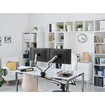 SELECT PLUS monitor stand with arm for 2 screens, desk mount