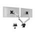 SELECT PLUS monitor stand with arm for 2 screens, desk mount