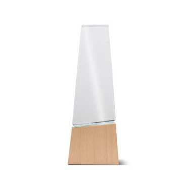Wood and Glass Trophy with Gift Box – Premium Geometric Design