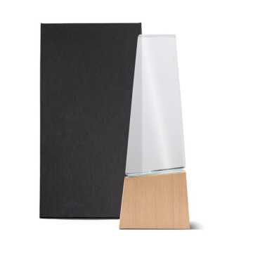 Wood and Glass Trophy with Gift Box – Premium Geometric Design