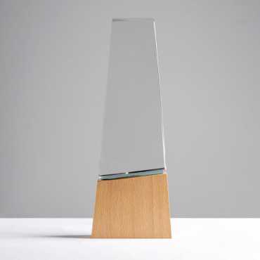 Wood and Glass Trophy with Gift Box – Premium Geometric Design